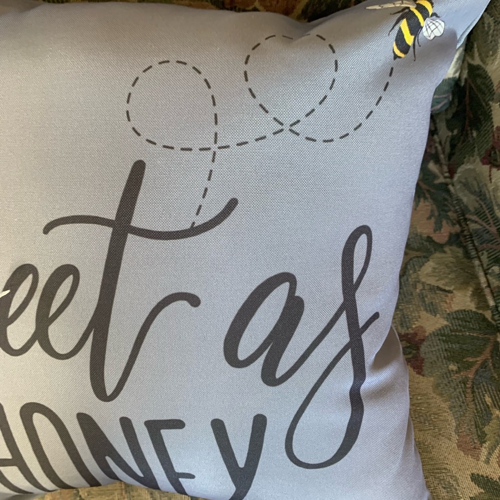 Sweet as Honey Decorative Throw Pillows NEW - Picture 2 of 3